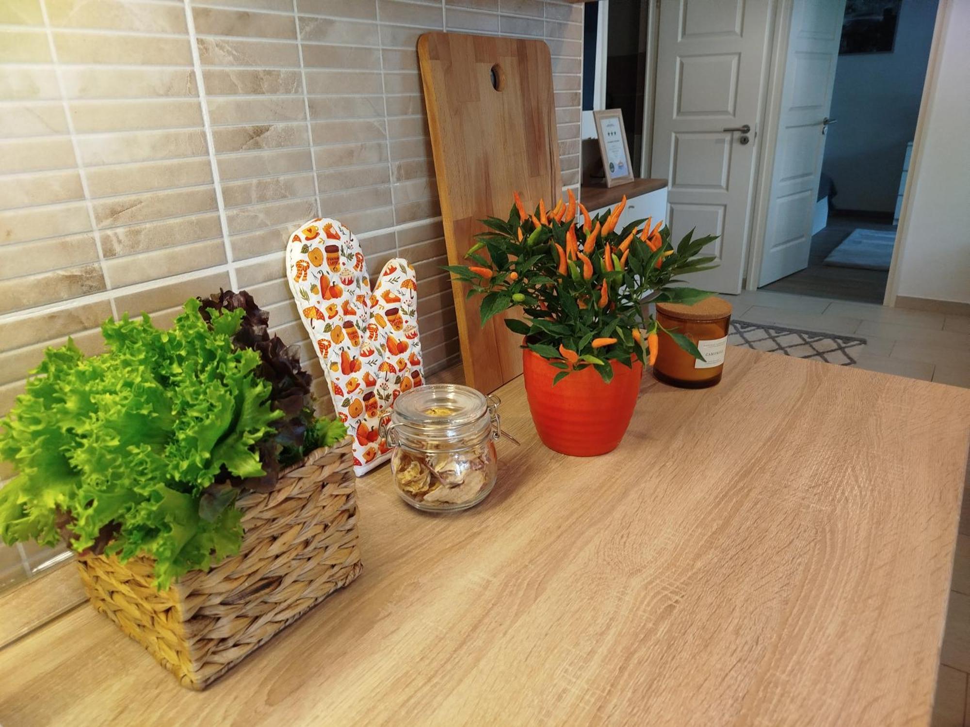 Lady Mabel'S Apartment Near To Arena, Puskas Stadion And City Park, With Guarded Parking Place บูดาเปสต์ ภายนอก รูปภาพ